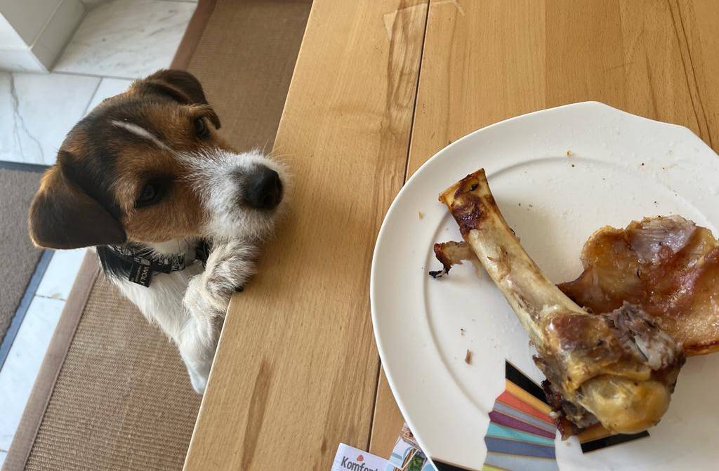 Hundeschule Clever & Cool Emskirchen